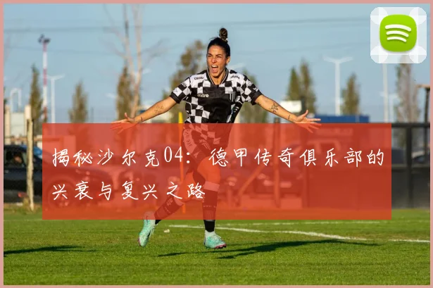 揭秘沙尔克04：德甲传奇俱乐部的兴衰与复兴之路