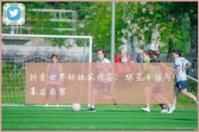 抖音世界杯独家内容：球星专访与幕后花絮