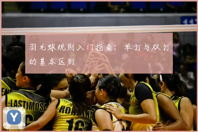 羽毛球规则入门指南：单打与双打的基本区别