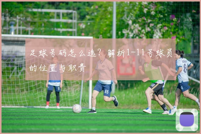 足球号码怎么选？解析1-11号球员的位置与职责